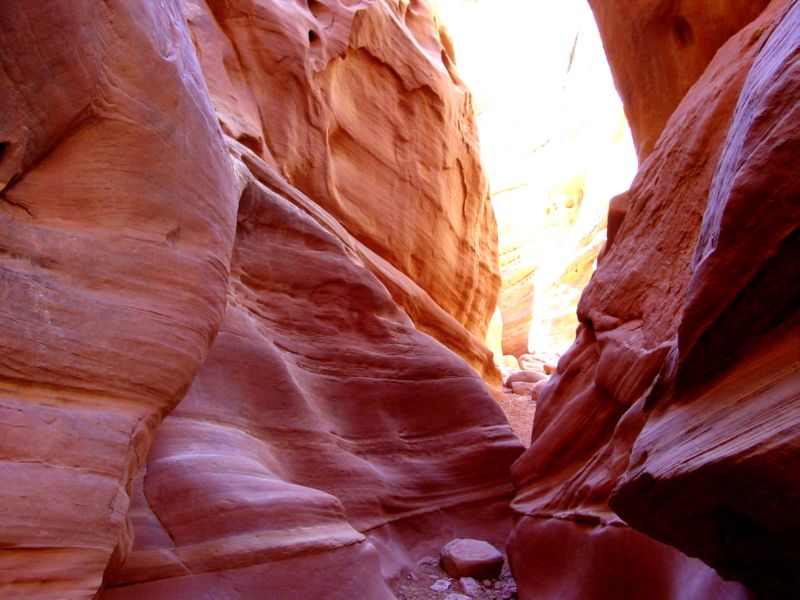 04160302LittleWildHorse (1101)